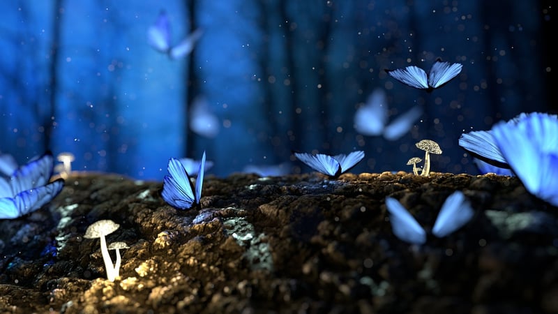 Enchanted Music